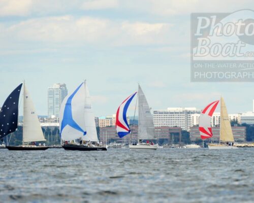 Stamford Sailboats