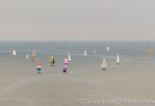 2016 Southern Bay Race Week